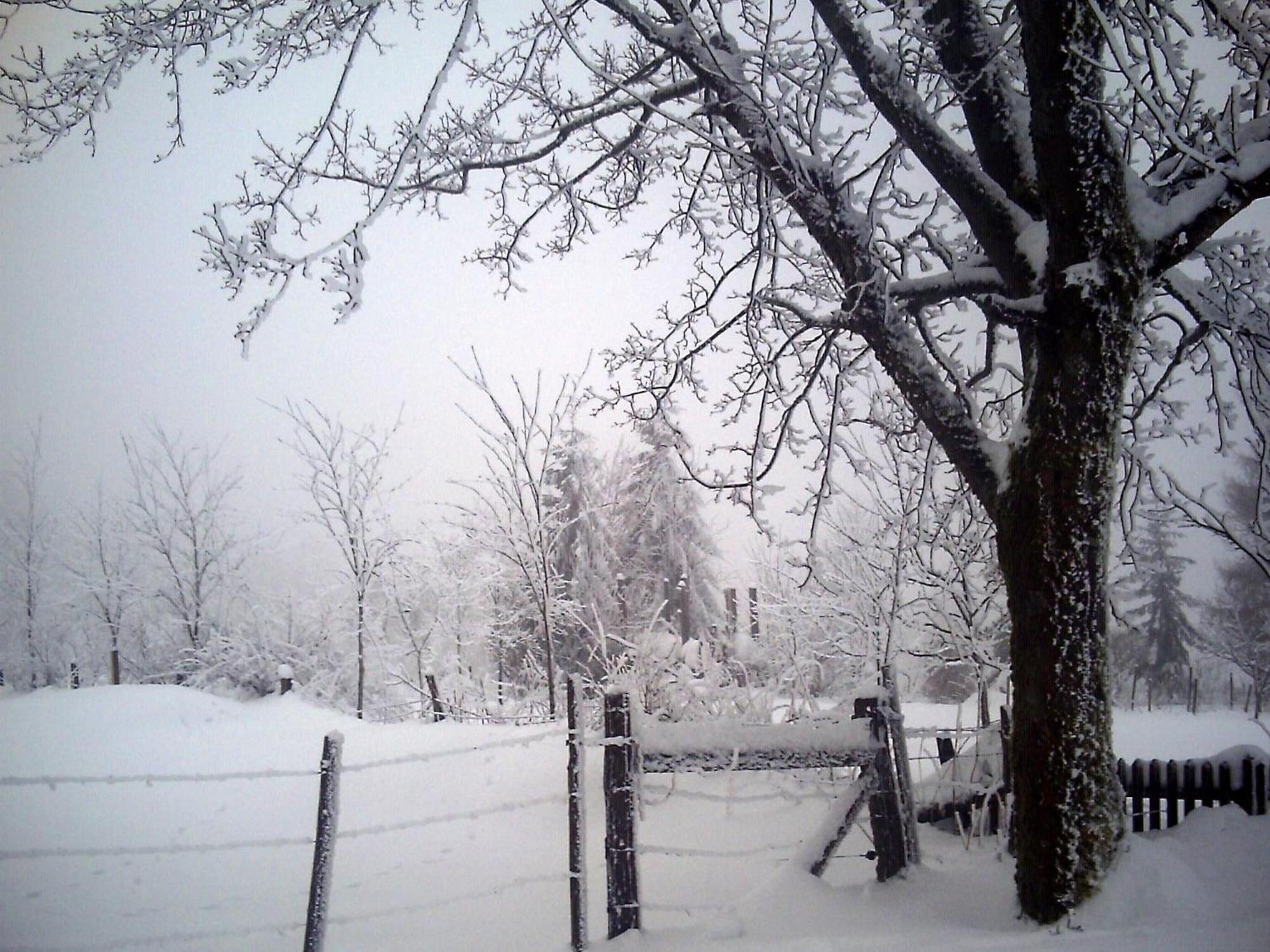 Cosy Apartment In Menkhausen Near The Ski Area Schmallenberg Εξωτερικό φωτογραφία