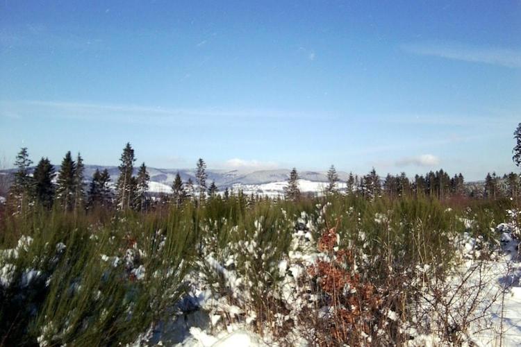 Cosy Apartment In Menkhausen Near The Ski Area Schmallenberg Εξωτερικό φωτογραφία