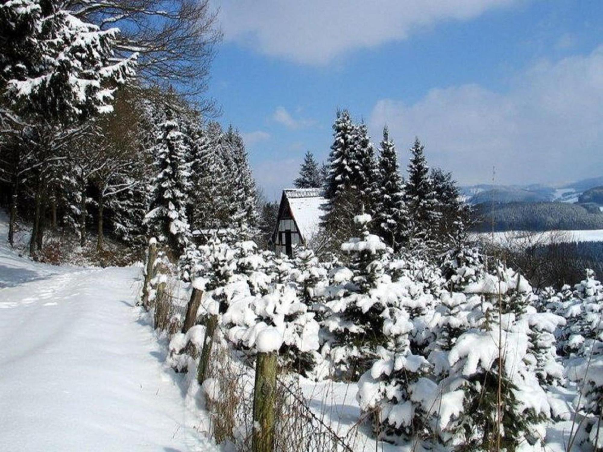 Cosy Apartment In Menkhausen Near The Ski Area Schmallenberg Εξωτερικό φωτογραφία